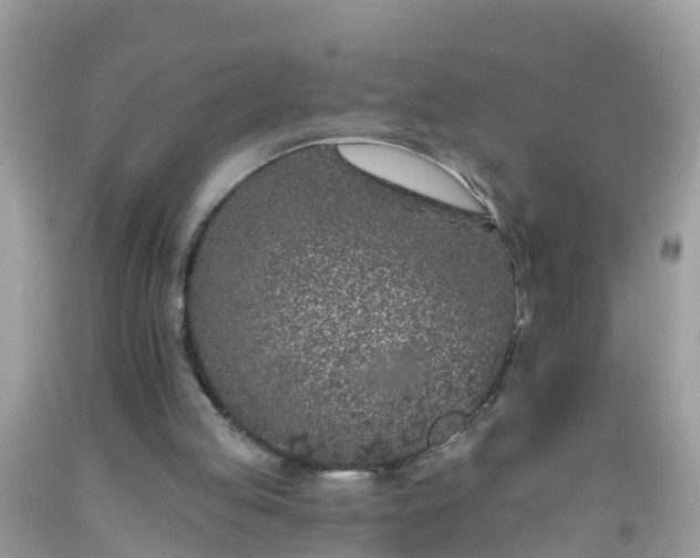 X0000093760053200710231300