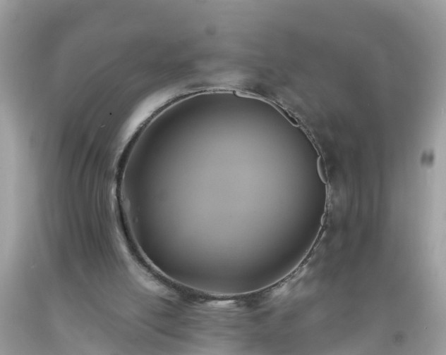 X0000093760054200710231300