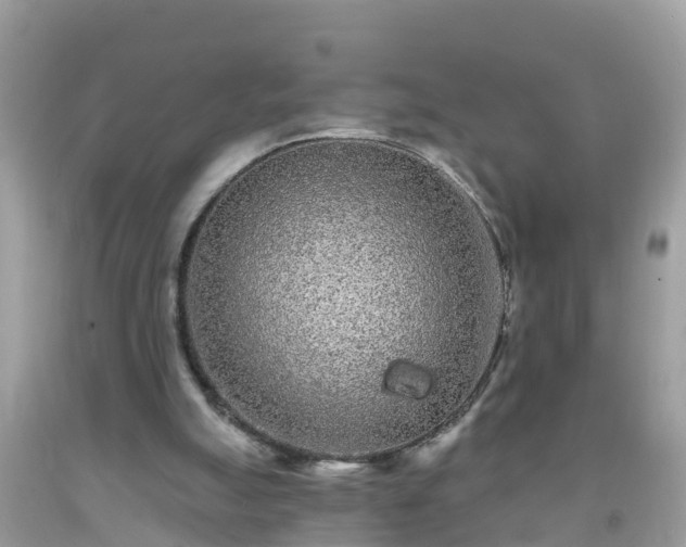 X0000093760055200710231300