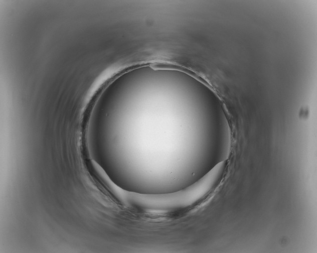 X0000093760056200710231300