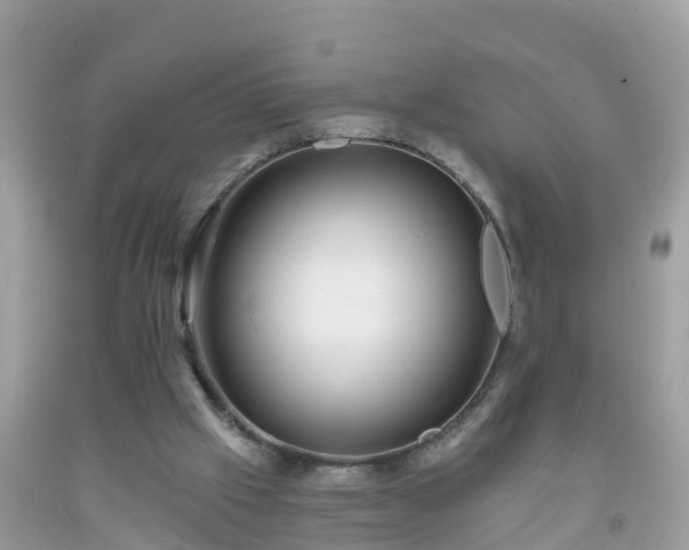 X0000093760057200710231300