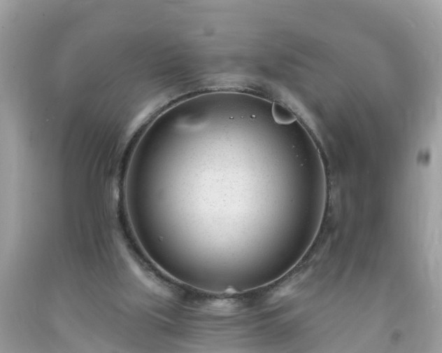 X0000093760059200710231300