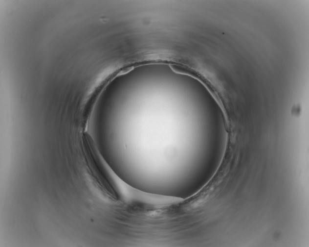 X0000093760060200710231300