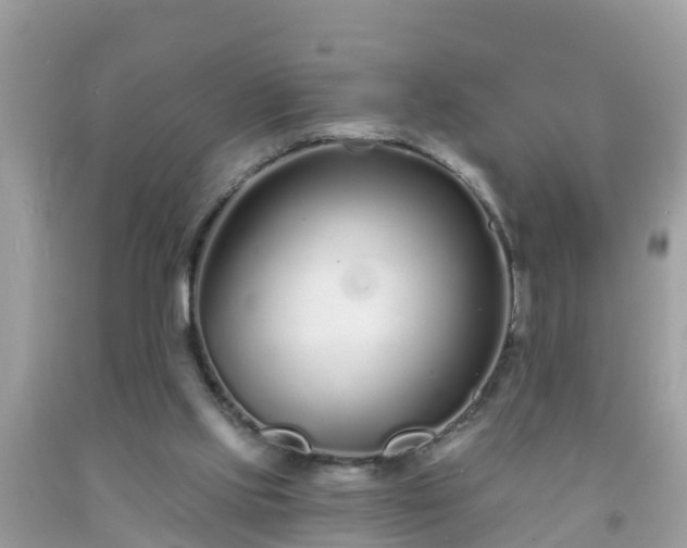 X0000093760061200710231300