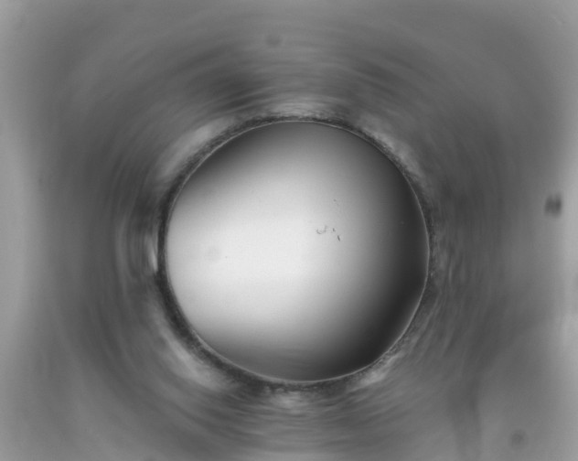 X0000093760062200710231300