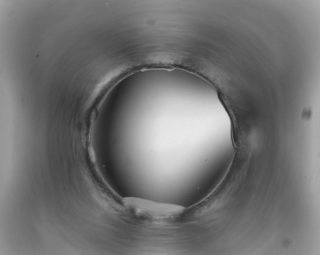 X0000093760064200710231301