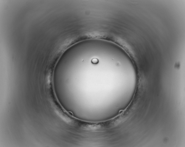 X0000093760065200710231301