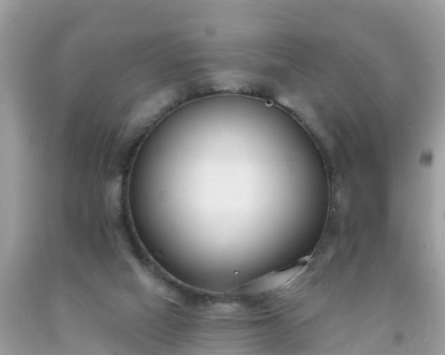 X0000093760066200710231301