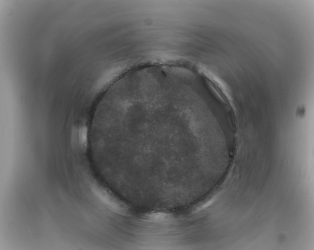 X0000093760067200710231301