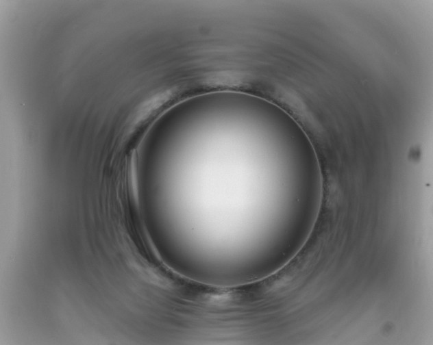 X0000093760068200710231301