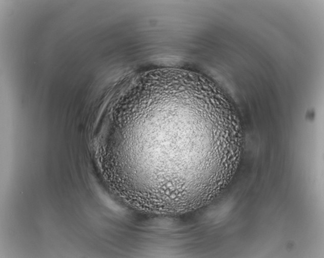 X0000093760069200710231301