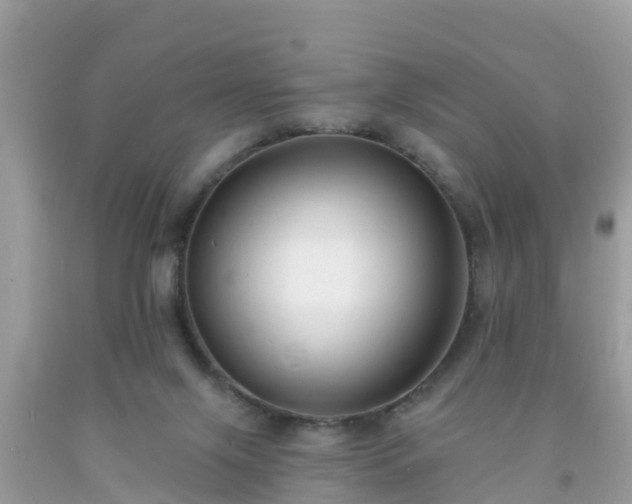 X0000093760071200710231301