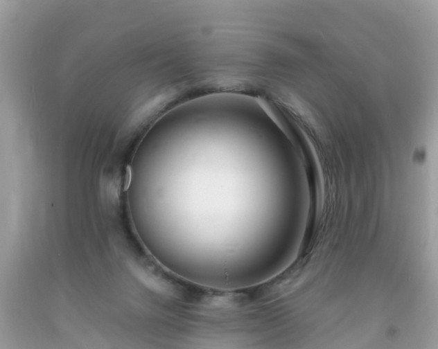 X0000093760072200710231301