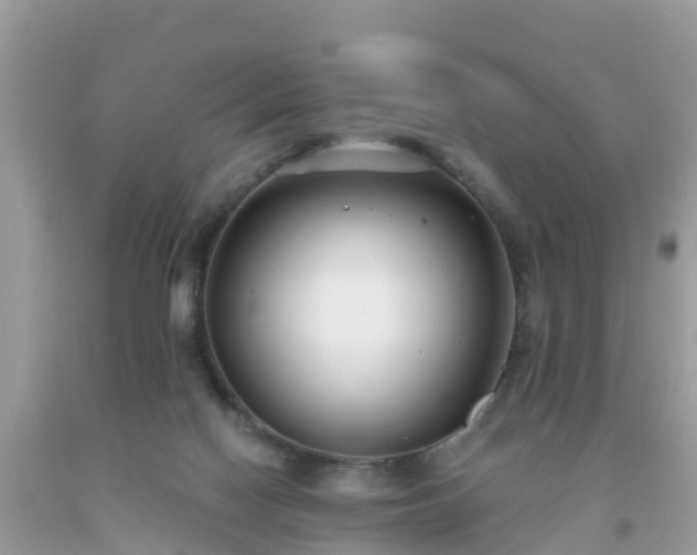 X0000093760074200710231301