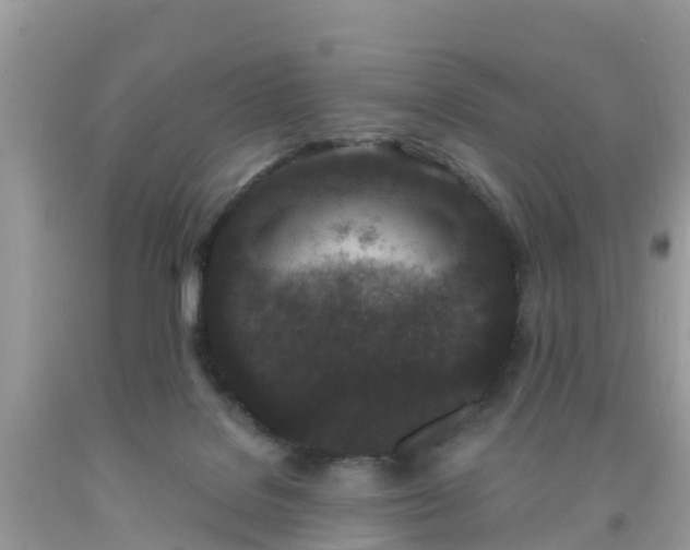 X0000093760076200710231301