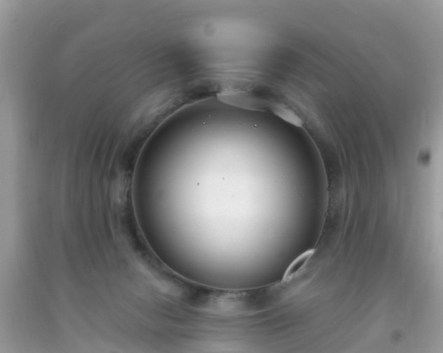 X0000093760078200710231301