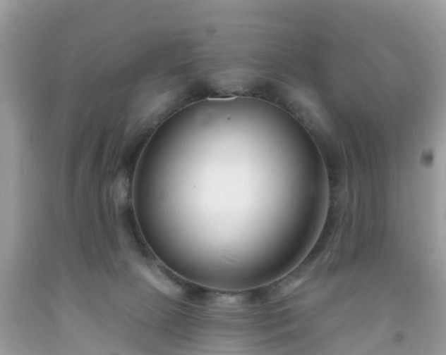 X0000093760081200710231301