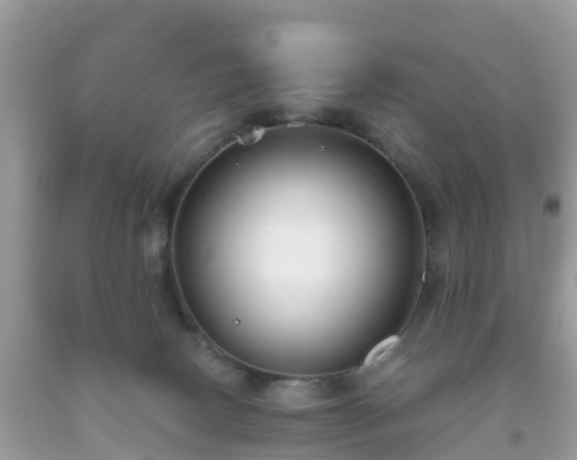 X0000093760082200710231301