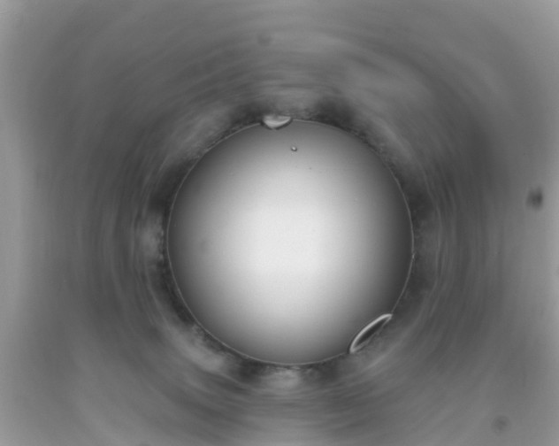 X0000093760083200710231301