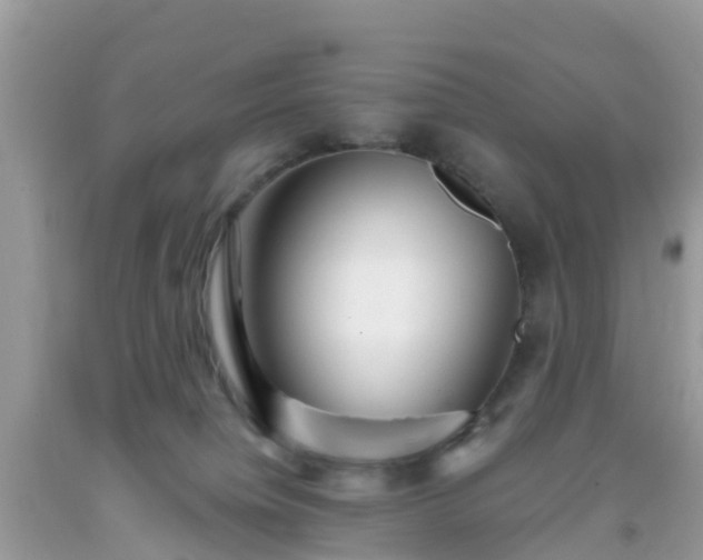 X0000093760084200710231301