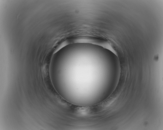 X0000093760088200710231301