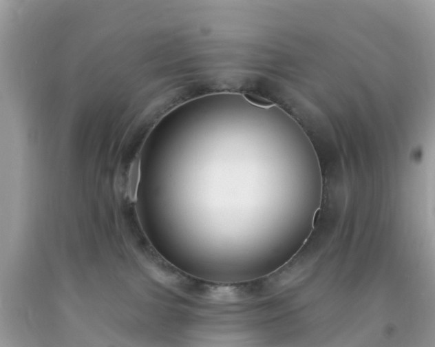 X0000093760091200710231301