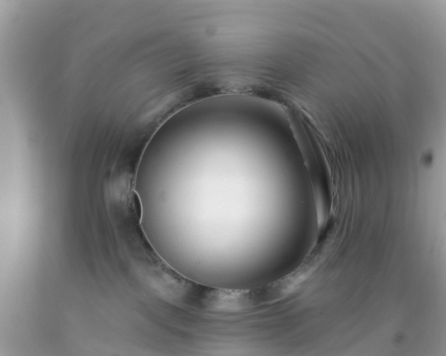 X0000093760093200710231301