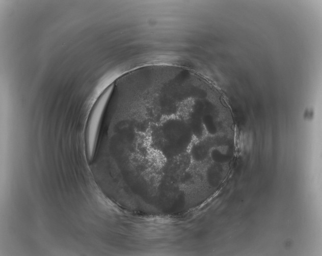 X0000093760099200710231300