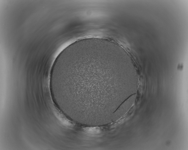 X0000093760100200710231300