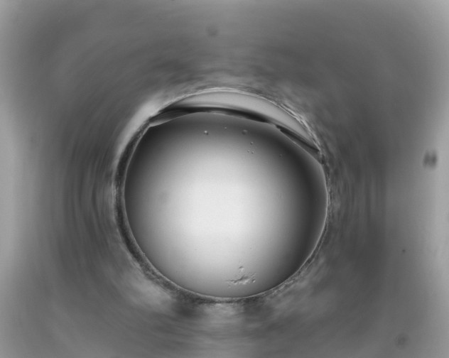 X0000093760102200710231300