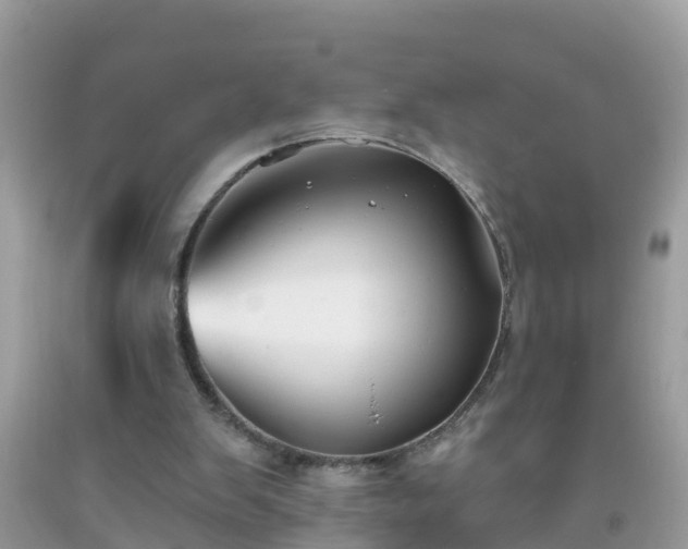 X0000093760103200710231300