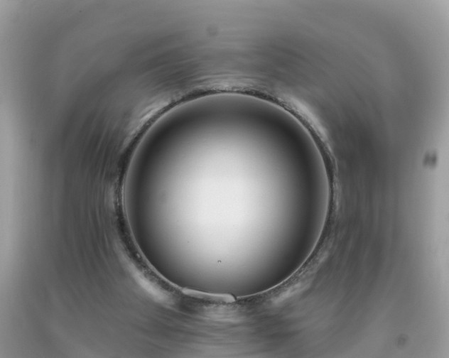 X0000093760105200710231300