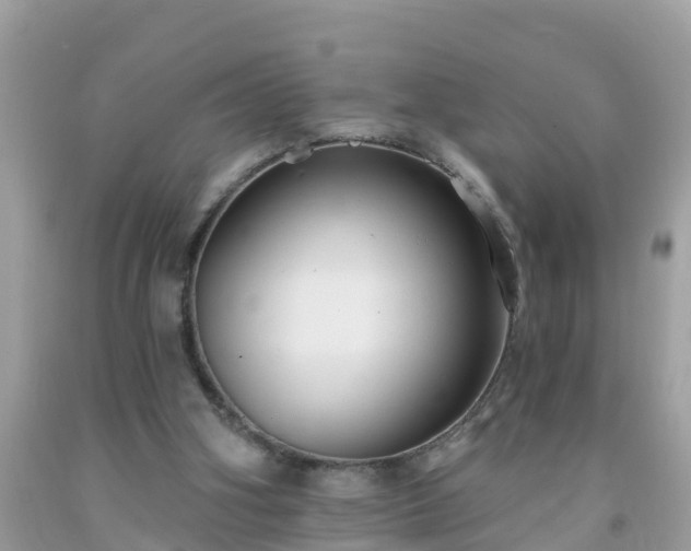 X0000093760106200710231300