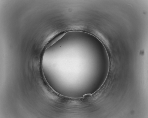 X0000093760107200710231300