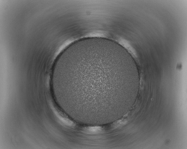 X0000093760108200710231300