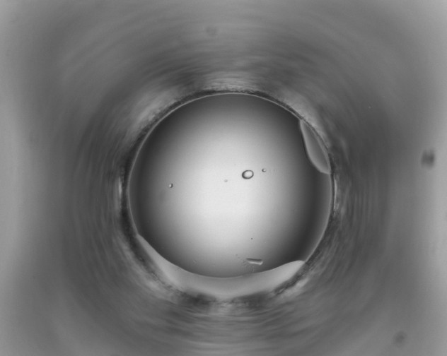 X0000093760109200710231300