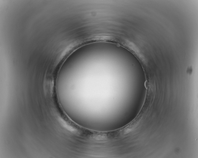 X0000093760110200710231300