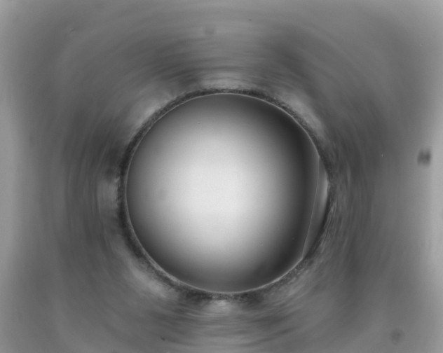 X0000093760111200710231300