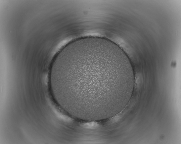 X0000093760112200710231300