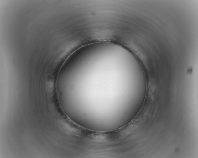 X0000093760113200710231300