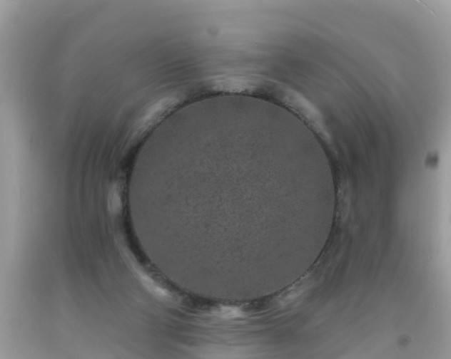 X0000093760114200710231300