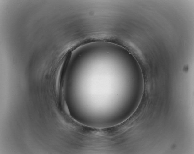 X0000093760115200710231300