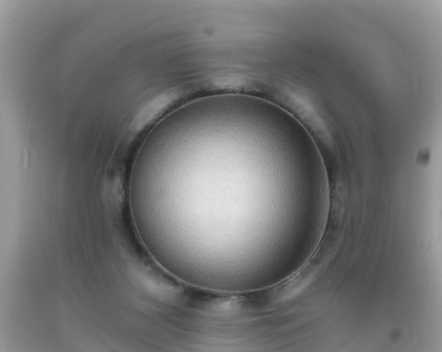 X0000093760116200710231300