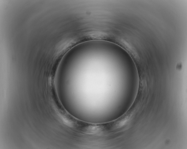 X0000093760117200710231300