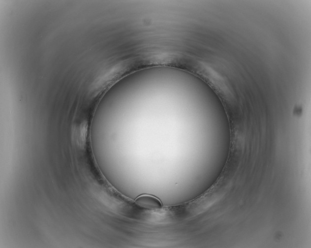 X0000093760118200710231300