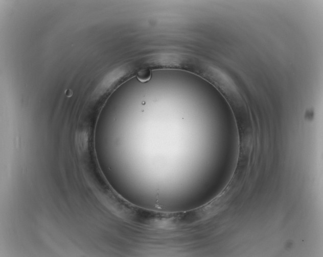 X0000093760120200710231300