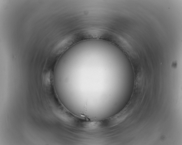 X0000093760122200710231300