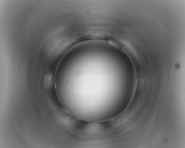 X0000093760123200710231300