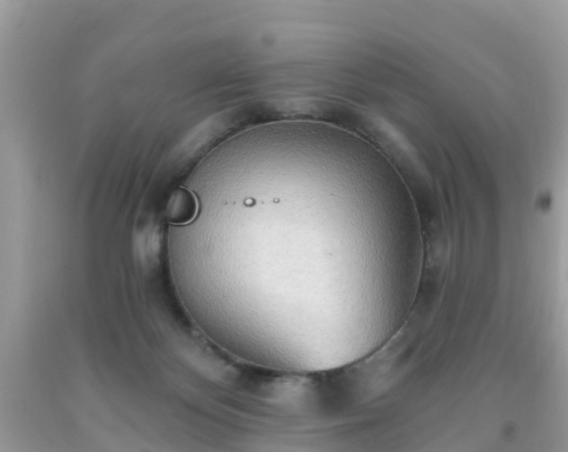 X0000093760124200710231300