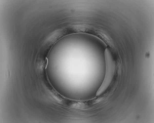 X0000093760125200710231300